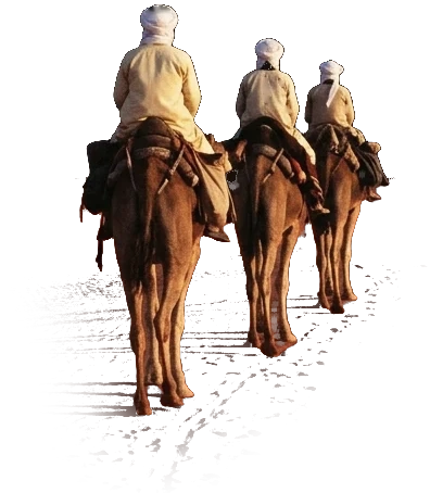 Una carovana di tre cammelli cammina nel deserto verso la Luna